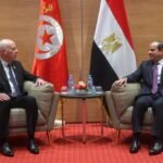 الرئيس السيسي يؤكد تضامن مصر مع تونس ويبحث مع قيس سعيد تطورات المنطقة المشتركة