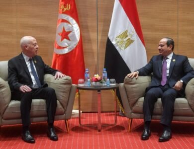 الرئيس السيسي يؤكد تضامن مصر مع تونس ويبحث مع قيس سعيد تطورات المنطقة المشتركة