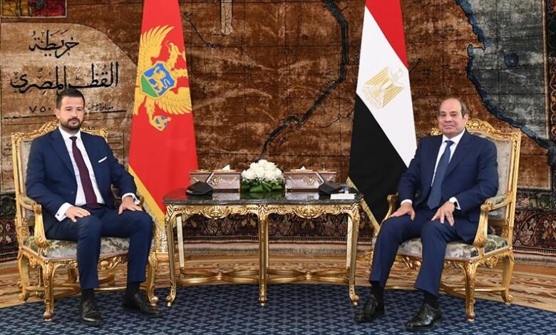 السيسي وميلاتوفيتش يبحثان تعزيز الشراكة والتعاون ويدعمان الحلول السلمية واستقرار المنطقة المشترك