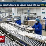 انخفاض أسعار البيض 45% يفتح آفاق التصنيع والتصدير لتعزيز استدامة القطاع المصري