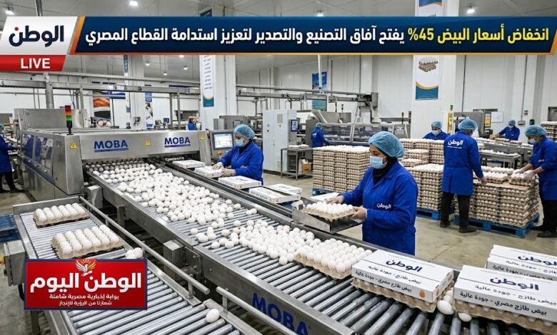 انخفاض أسعار البيض 45% يفتح آفاق التصنيع والتصدير لتعزيز استدامة القطاع المصري