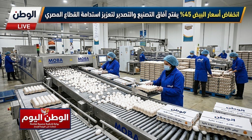 انخفاض أسعار البيض 45% يفتح آفاق التصنيع والتصدير لتعزيز استدامة القطاع المصري