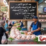 بعد التراجع الأخير.. أسعار الفراخ البيضاء والدواجن اليوم الاثنين 20 يوليو 2026 للمستهلك