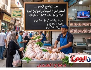 بعد التراجع الأخير.. أسعار الفراخ البيضاء والدواجن اليوم الاثنين 20 يوليو 2026 للمستهلك