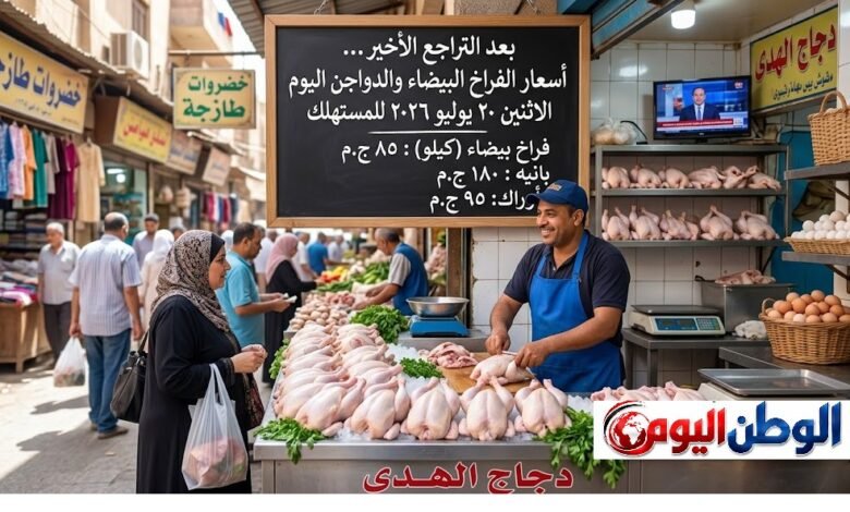 بعد التراجع الأخير.. أسعار الفراخ البيضاء والدواجن اليوم الاثنين 20 يوليو 2026 للمستهلك