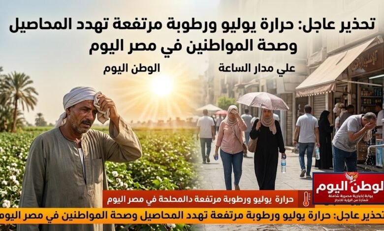 تحذير عاجل حرارة يوليو ورطوبة مرتفعة تهدد المحاصيل وصحة المواطنين في مصر اليوم