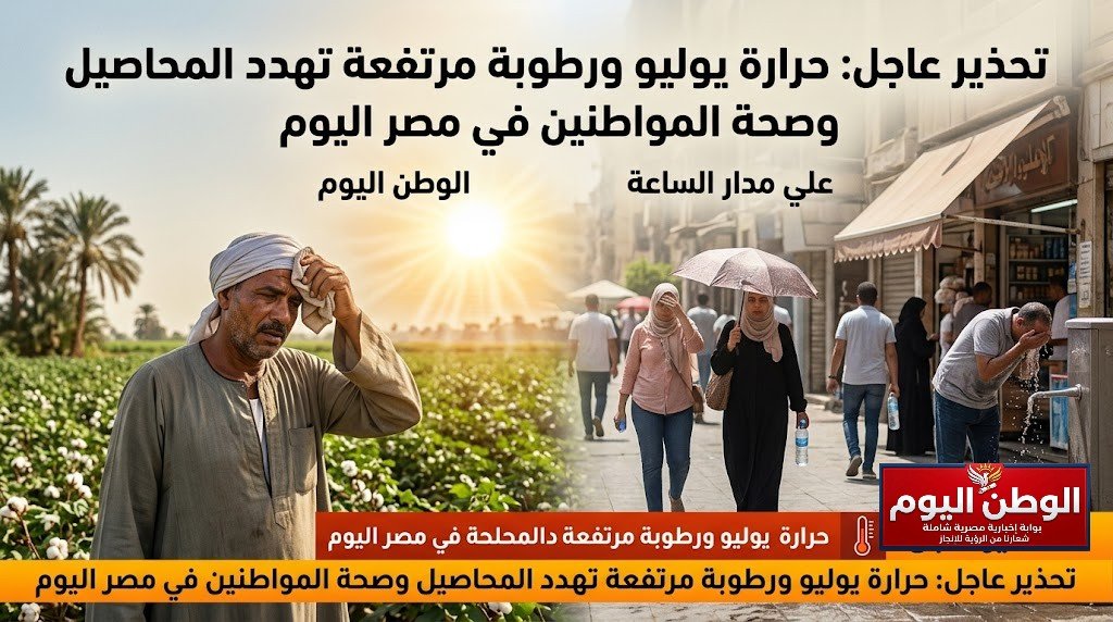 تحذير عاجل حرارة يوليو ورطوبة مرتفعة تهدد المحاصيل وصحة المواطنين في مصر اليوم