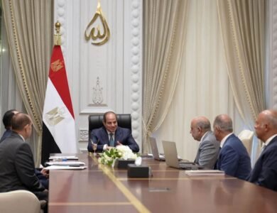 السيسي يوجه بتوطين صناعات الطاقة الجديدة وتعزيز التصنيع المحلي في مصر