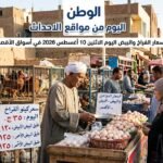 أسعار الفراخ والبيض اليوم الاثنين 10 أغسطس 2026 في أسواق الأقصر