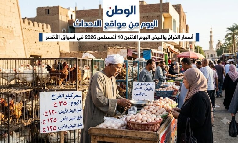 أسعار الفراخ والبيض اليوم الاثنين 10 أغسطس 2026 في أسواق الأقصر