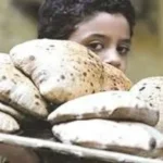 بدء تطبيق منظومة الخصم المباشر بالمخابز اليوم دون تغيير سعر الخبز المدعم للمواطنين نهائيًا