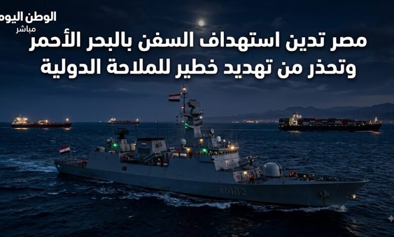 مصر تدين استهداف السفن بالبحر الأحمر وتحذر من تهديد خطير للملاحة الدولية