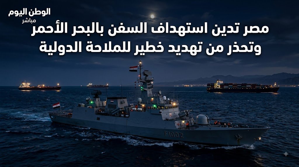 مصر تدين استهداف السفن بالبحر الأحمر وتحذر من تهديد خطير للملاحة الدولية