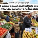 أسعار الخضروات والفاكهة اليوم السبت 5 سبتمبر 2026.. الطماطم تبدأ من 10 والمانجو تصل لـ100 جنيه