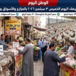 أسعار الفراخ البيضاء اليوم الخميس 3 سبتمبر 2026 بالمزارع والأسواق وبورصة الدواجن