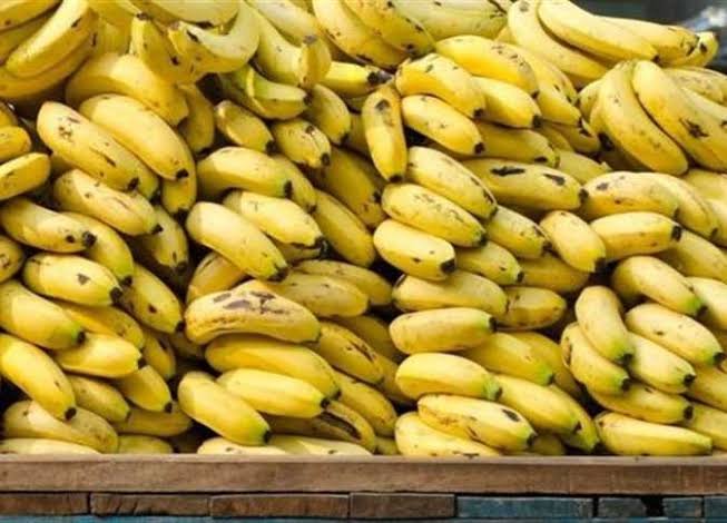 أسعار الموز اليوم