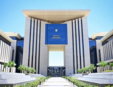 الخارجية تواصل اتصالاتها للإفراج عن البحارة المصريين المحتجزين قبالة الصومال