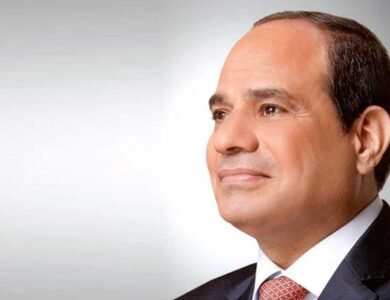 الرئيس السيسي يبحث مع رئيسة «أورنج» العالمية زيادة الاستثمارات ودعم شباب التكنولوجيا