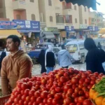 بسبب حالة الطقس.. أسعار الخضروات اليوم الجمعة 25 سبتمبر 2026 في مطروح