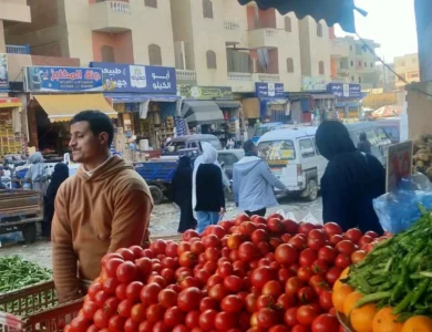 بسبب حالة الطقس.. أسعار الخضروات اليوم الجمعة 25 سبتمبر 2026 في مطروح