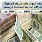 تعرف على أسعار الدولار داخل البنوك المصرية وشركات الصرافة المعتمدة  في مصر