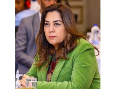 حملات تفتيش مفاجئة بالقاهرة والقليوبية والجيزة تضبط مخالفات وتنجز معاملات متأخرة