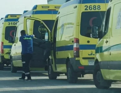 مصر.. مصرع 16 شخصًا وإصابة 28 آخرين في انقلاب حافلة بجنوب سيناء