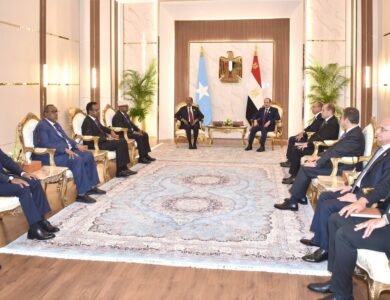 السيسي يترأس قمة أودا نيباد بالعلمين ويؤكد أولوية تمويل التنمية الأفريقية