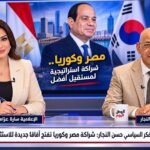 المفكر السياسي حسن النجار شراكة مصر وكوريا تفتح آفاقًا جديدة للاستثمار والتصنيع
