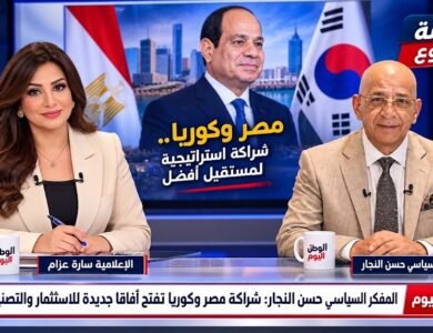 المفكر السياسي حسن النجار شراكة مصر وكوريا تفتح آفاقًا جديدة للاستثمار والتصنيع