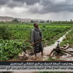 «الوطن اليوم» ترصد اتساع أمطار الخريف وتحذر المزارعين من الري التلقائي للمحاصيل