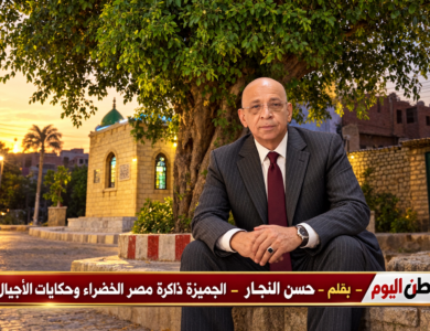 بقلم - حسن النجار - الجميزة ذاكرة مصر الخضراء وحكايات الأجيال