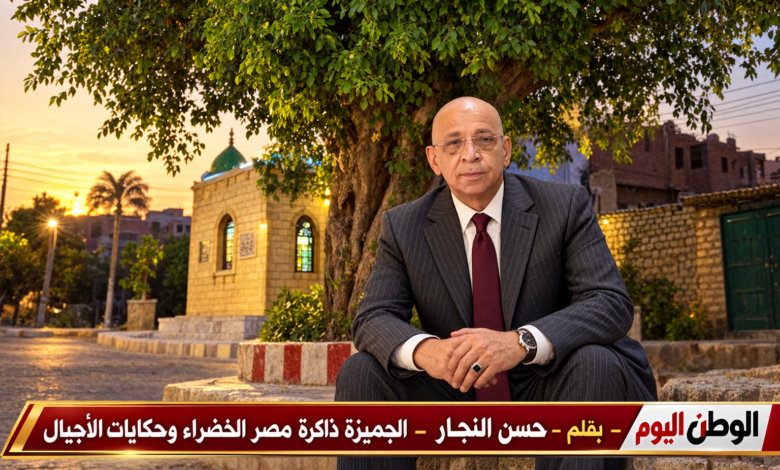 بقلم - حسن النجار - الجميزة ذاكرة مصر الخضراء وحكايات الأجيال