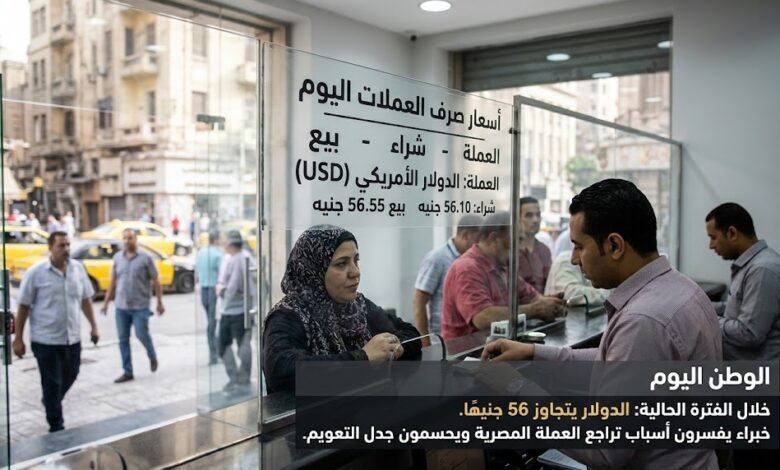 خلال الفترة الحالية الدولار يتجاوز 56 جنيهًا.. خبراء يفسرون أسباب تراجع العملة المصرية ويحسمون جدل التعويم