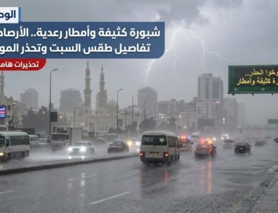 شبورة كثيفة وأمطار رعدية.. الأرصاد تكشف تفاصيل طقس السبت وتحذر المواطنين