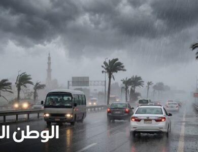 طقس اليوم الخميس.. شبورة كثيفة وأمطار ورياح تحذّر منها الأرصاد الجوية