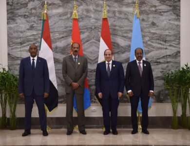 قمة العلمين تؤكد وحدة الدول وأمن البحر الأحمر وترفض الإجراءات الأحادية بشأن النيل